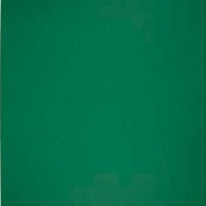 Meet your Posher, Corinna